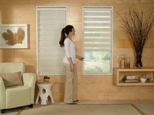B2D Economy Blackout Zebra Shades